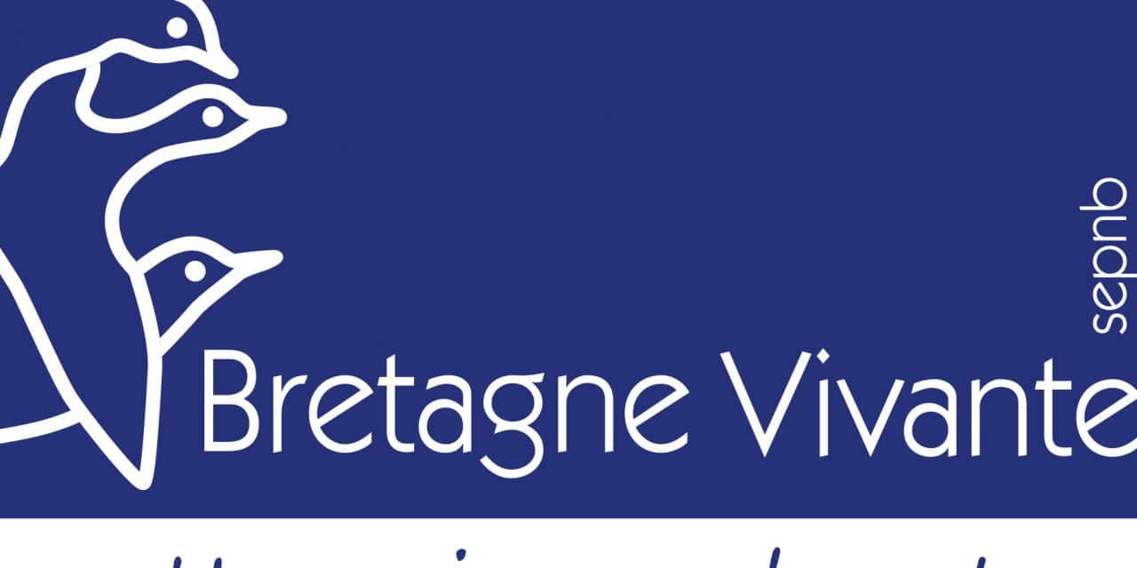 BV_logo-1280x640